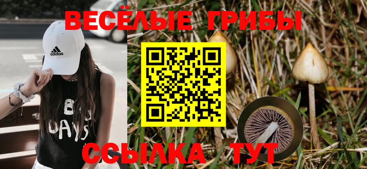 Галлюциногенные грибы мухоморы Шадринск